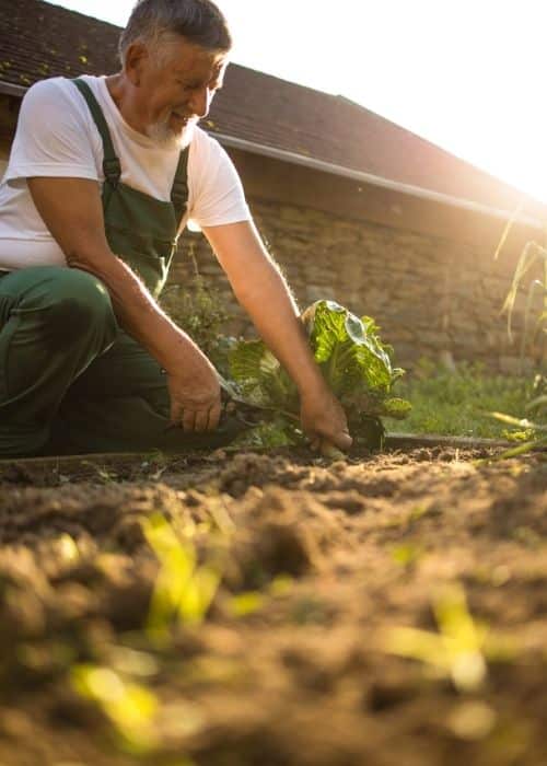 Jardineros preparados y con dilatada experiencia