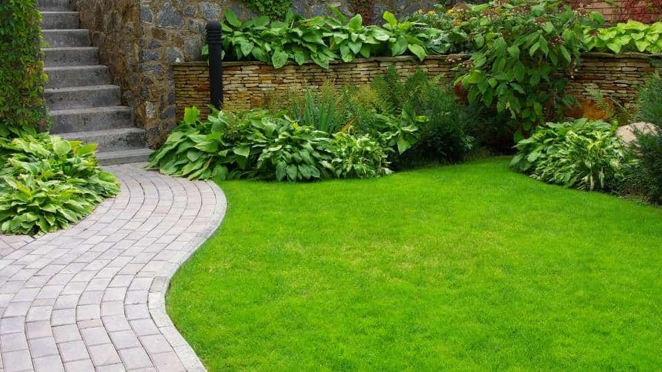 jardinería